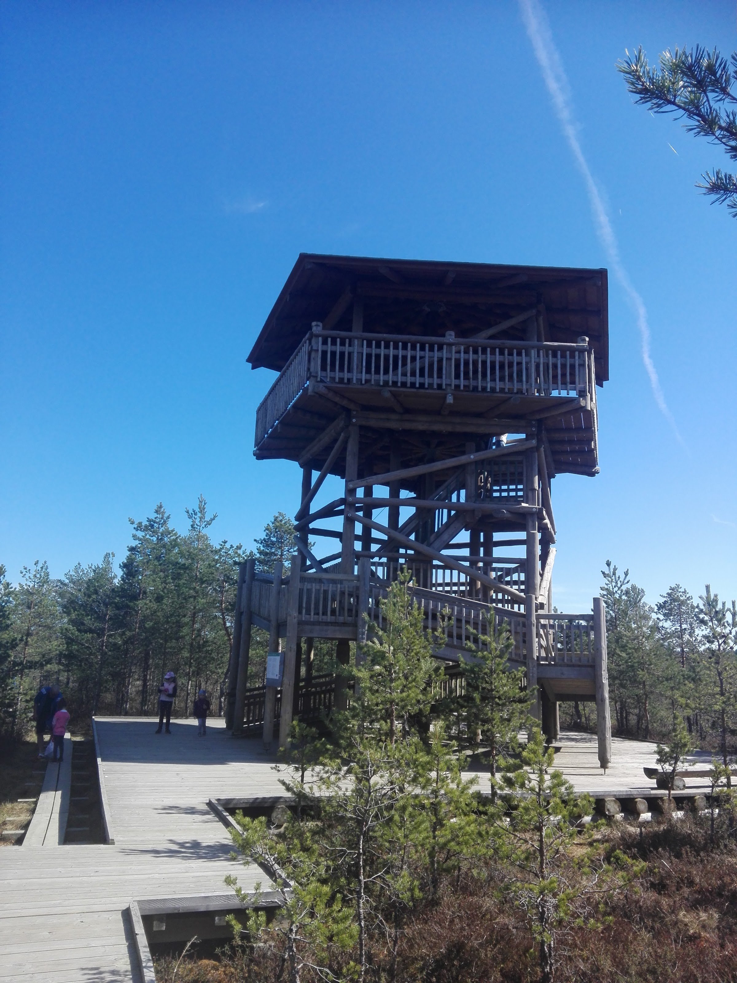 Viru raba vaatetorn (Viru Bog observation tower)